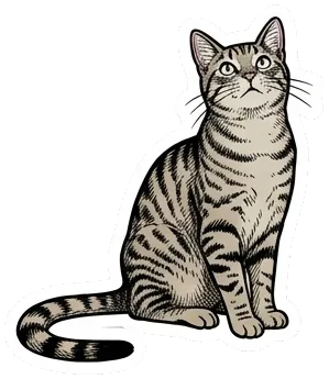 a tabby cat looking up